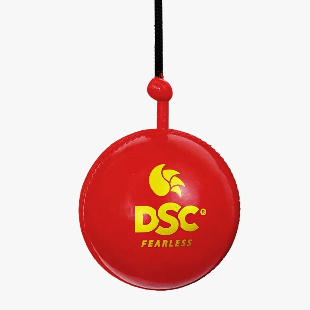 2026 DSC Cricket Hanging Synthetic Ball (Pack of 1) -Hang It. Hit It. Perfect It