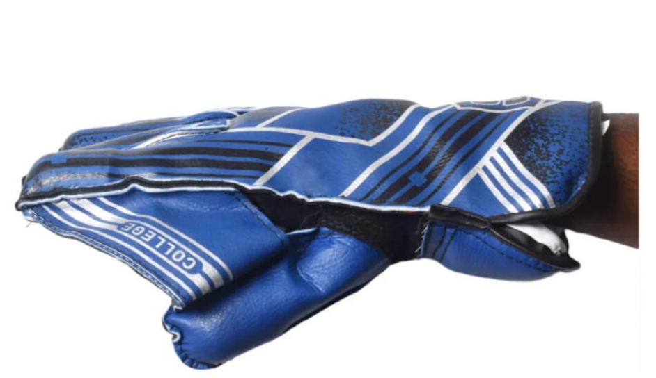 Cricket Wicket Keeping Gloves - SS College | Youth | Pair | Cricket | Premium