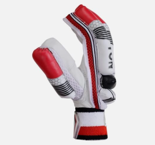 Champion Cricket kit